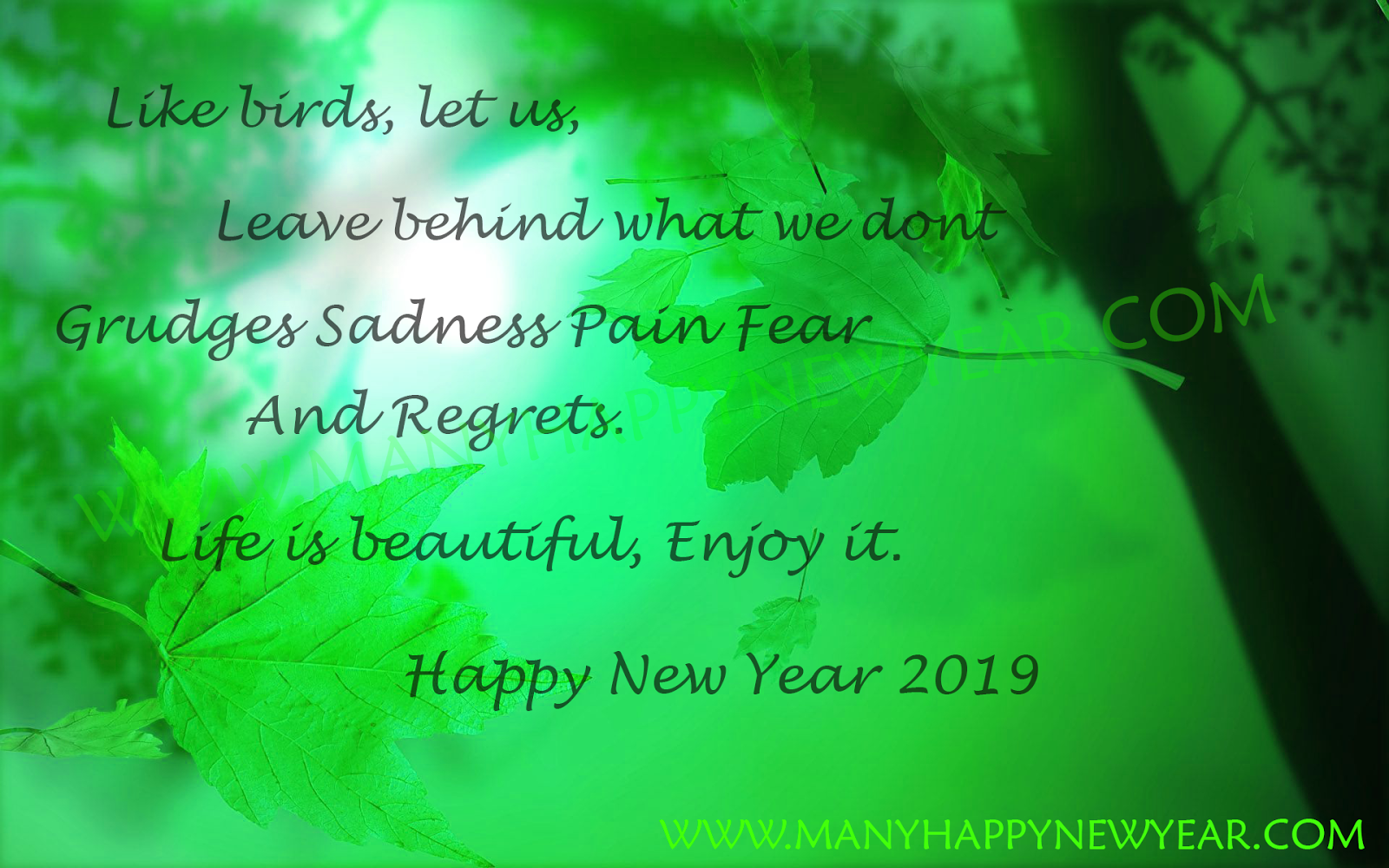 New Year New Life Quotes Happy New Year 2019 Quotes Status Wishes Wallpapers