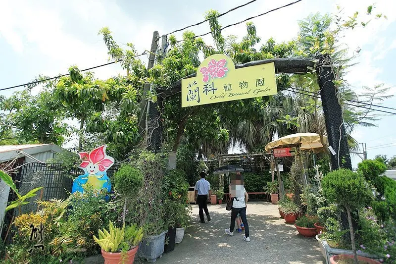 蘭科植物園|珍奇蘭種保育區｜台南山上景點