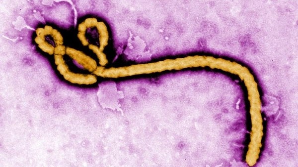 Đại dịch Ebola và lời tiên tri đáng sợ của Vanga