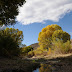 FALL COLOR: AGUA FRIA NATIONAL MONUMENT