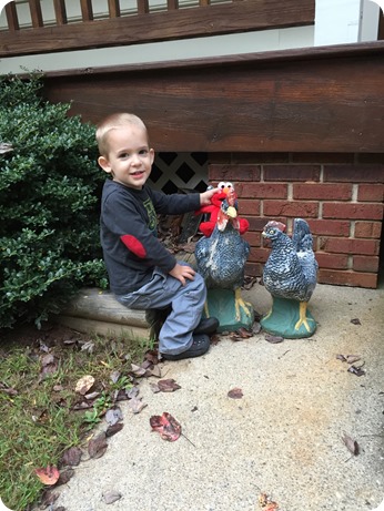 Nehemiah's Elmo on a Rooster