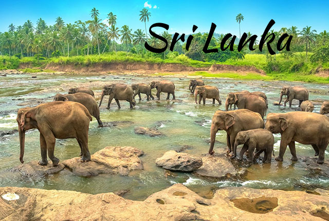 Sri Lanka Holiday Tour Packages from India