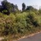 View album