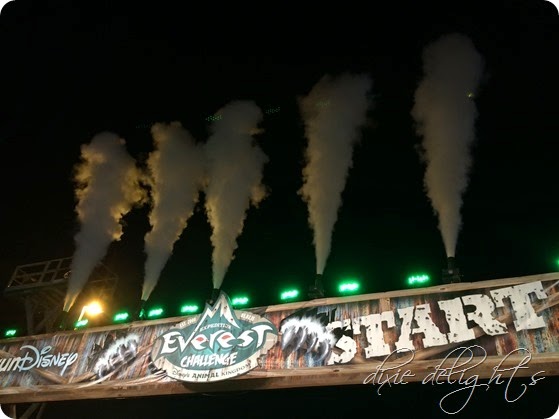 IMG_0947 IMG_0947