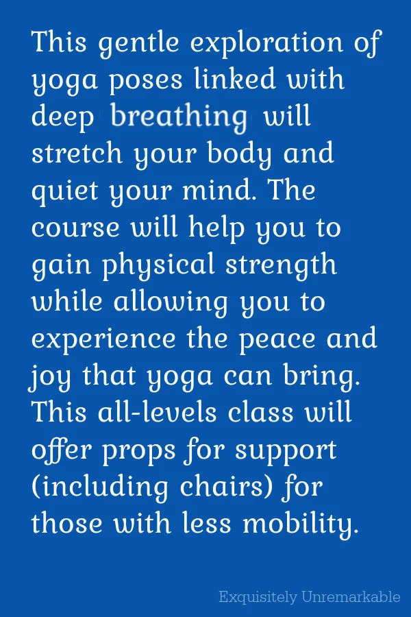 Chair Yoga Class Description
