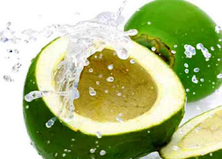 health_benefits_of_eating_coconut_fruits-vegetables-benefitsblogspot.com(4)