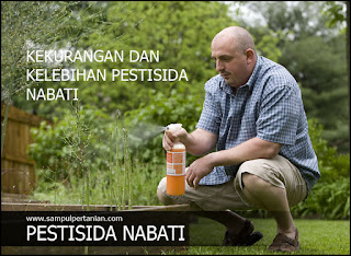 Kekurangan dan Kelebihan Pestisida Nabati (PESNAB)