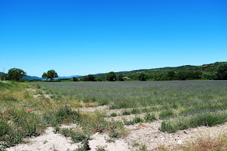 Reiseeindrücke Provence