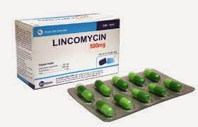 DOSIS OBAT LINCOMYCIN Obat Generik Kapsul (Lincomycin)