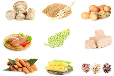 Vitamin B3 có nhiều trong các loại thực phẩm