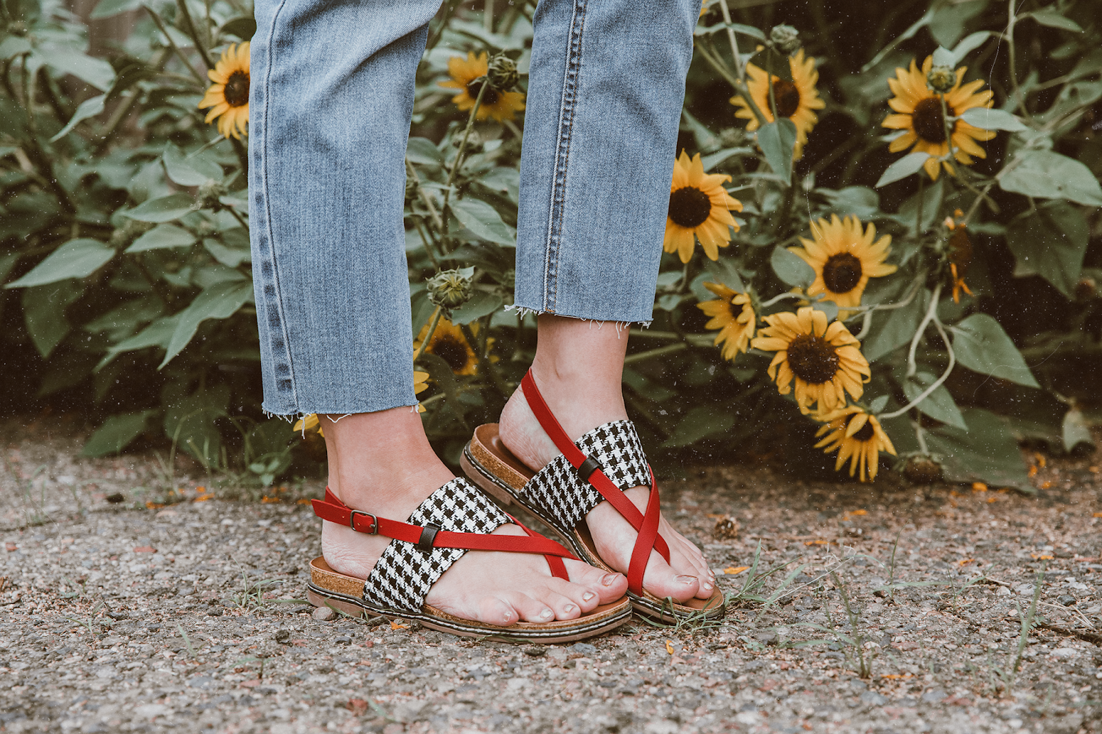 shelly stuckman, ArizonaGirl.com, how to style bohemian, fashion blogger, sunflowers, Corkys Footwear, Elle & Jae Gypset, Sans Souci Stores, STS Blue, off the shoulder blouse