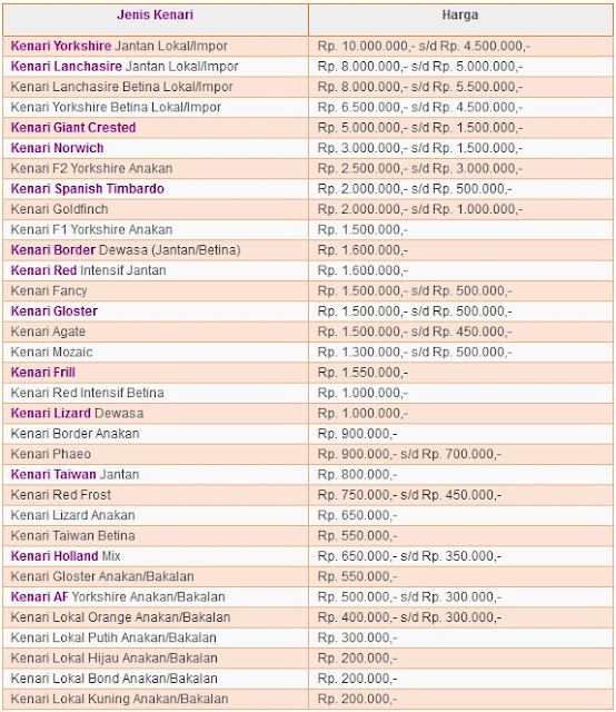 rata rata harga burung kenari 2016