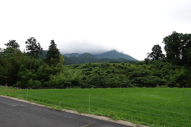 種原集落の田園から大山を望む