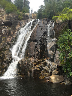 Steavenson Falls, Marysville