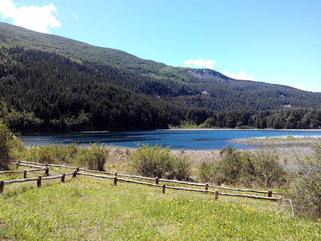 Laguna Verde en la Reserva Nacional de Coyhaique, Chile