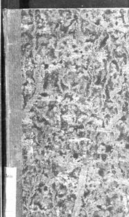 Giuseppe Virey - Compendio di storia fisica e morale dell'uomo (1853) | Accademia di Medicina Torino 42 | ISBN N.A. | Italiano | PDF HQ | 359 pagine | 77,1 MB | CBR 96 dpi | 359 pagine | 87,8 MB
Collana contenente tantissimi libri di medicina e riviste specialistiche sempre di ambito medico/chirurgico datate fine 1800 e inizio 1900.