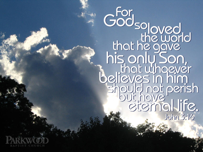 bible wallpaper. John 3 16 Bible Verse