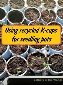 recycled seed starting containers
