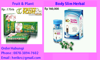 Obat Pelangsing Badan dan Obat Diet Cepat