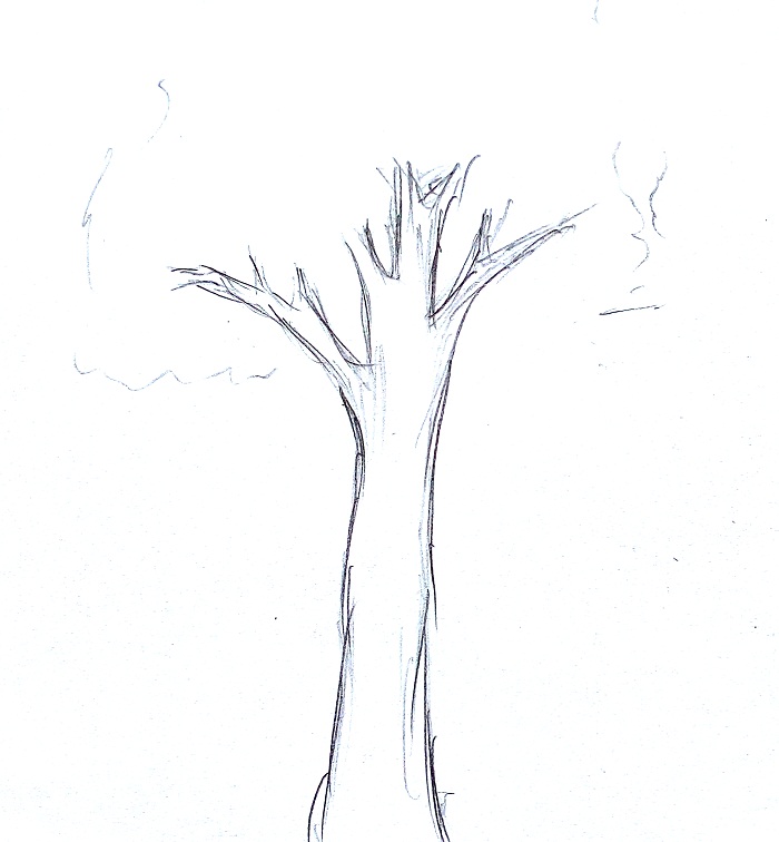 Cara Menggambar Pohon Mudah Simpel