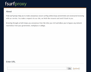 web proxy fsurf