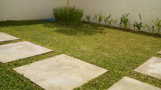 Cara basmi rumput liar di pekarangan rumah sampai ke akar agar tak tumbuh lagi