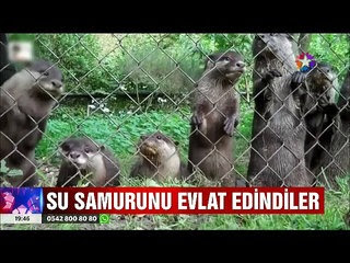 onu elleriyle besliyorlar