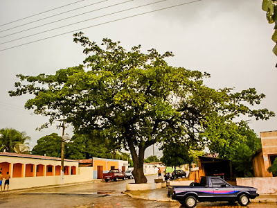 Resultado de imagem para avenida abel carnaubais