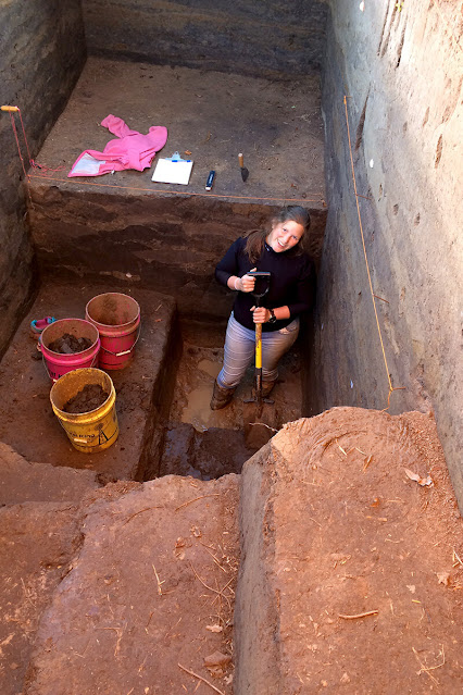 North 'plaza' in Cahokia was likely inundated year-round, study finds