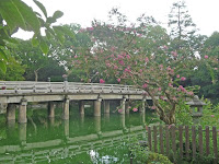 勾玉池に架かる高倉橋とサルスベリの紅色の花