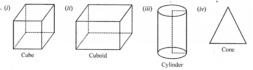 Selina Concise Mathematics Class 6 ICSE Solutions Chapter 31 Recognition of Solids