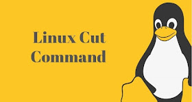 Linux Tutorial and Material, Linux Exam Prep, Linux Certification, LPI Prep