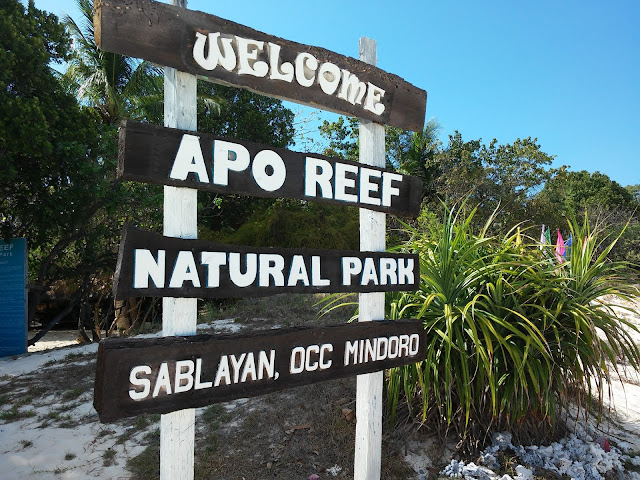 Welcome to Apo Reef Natural Park