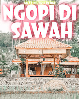 NGOPI DI SAWAH - Review, Daftar Menu, Jam Buka, Lokasi Dan Aktivitas [Terbaru]