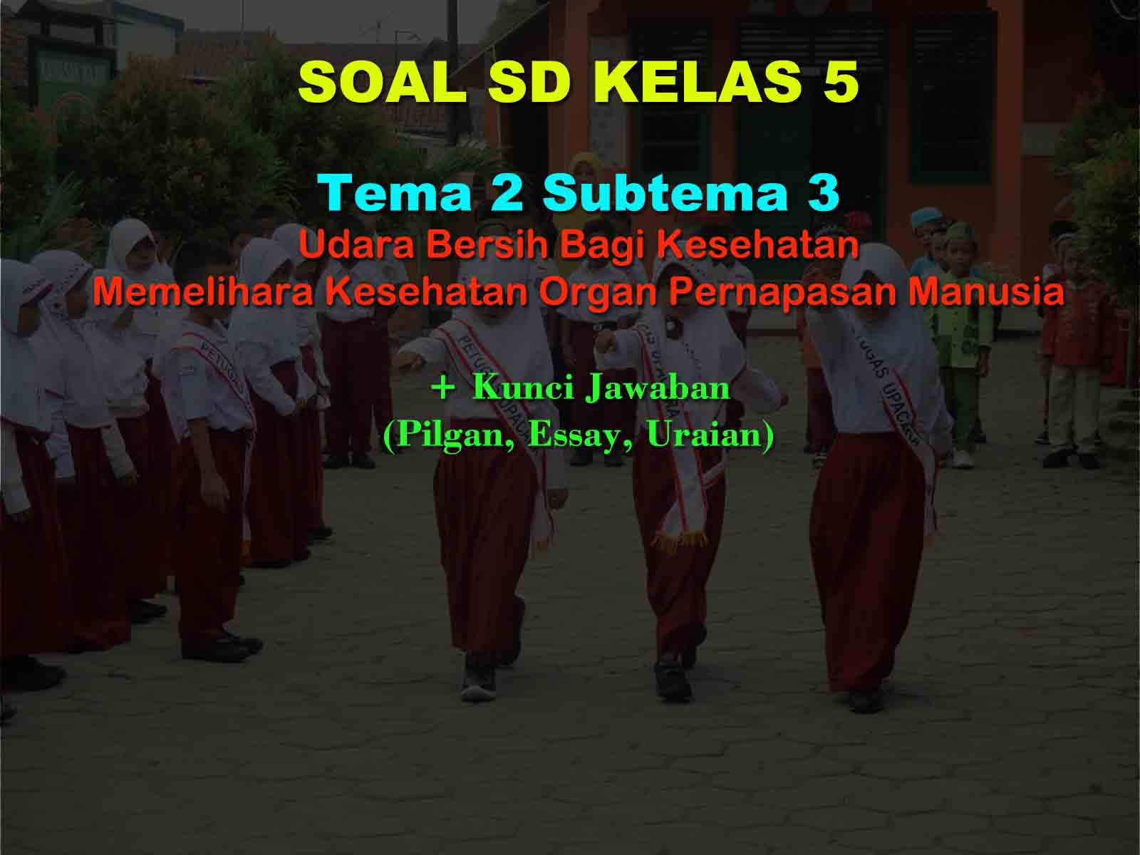 Soal Kelas 5 Tema 2 Subtema 3 Jawaban K13 Revisi 2s