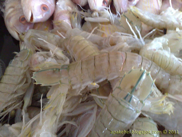 Udang Lipan