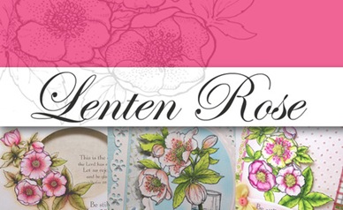 Lenten Rose Graphic