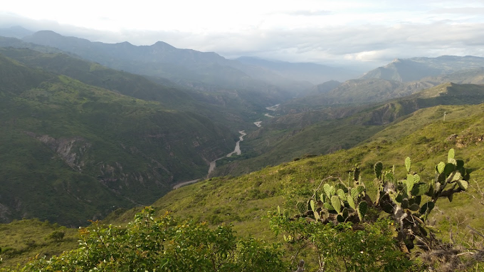 Bosques secos del Chicamocha: La importancia de preservar este ecosistema con el apoyo de la comunidad