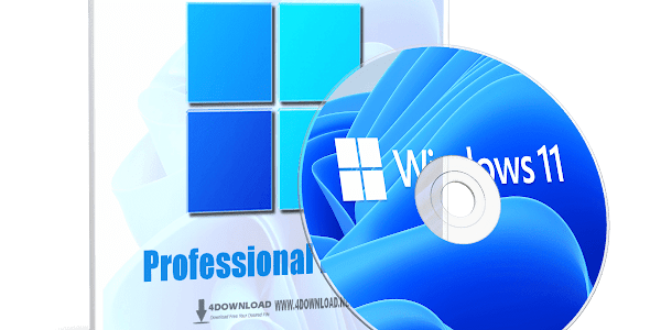 Windows 11 Pro Insider Preview 10.0.22000.65 Multilingual file ISO