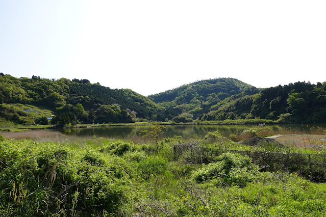 東郷湖一周ウォーキングコースからの眺めが綺麗です