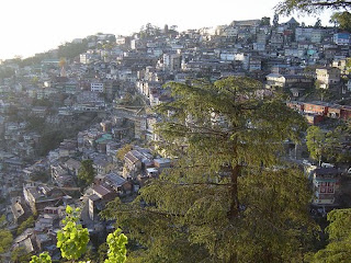 Shimla - Himachal Pradesh