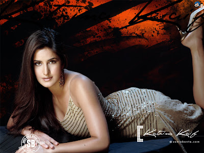 Katrina Kaif HD Wallpapers Download for PC Mobile Laptop