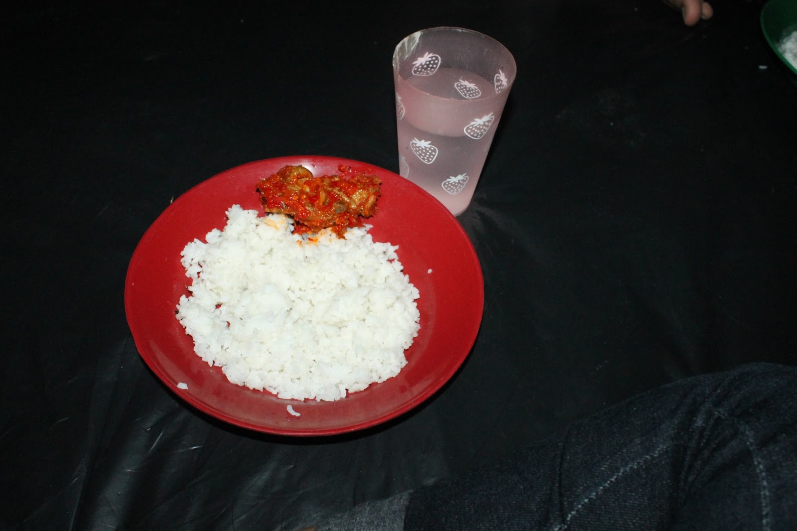 gambar lalat gambar hewan