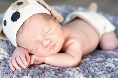 Newborn Baby with Puppy Dog Hat