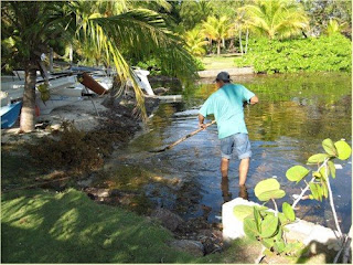 Photo of Manuel standing in the sea and raking muck up on the beach