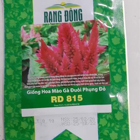 Hạt giống Hoa mào gà lửa đỏ