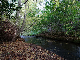 A photo showing a narrow and shallow river (the Braid Burn) running through an area of trees.  There are lots of fallen leaves on the banks of the river.  Photograph by Kevin Nosferatu for the Skulferatu Project.