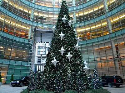 Big Green Christmas Tree New York City Public Domain Photo Image