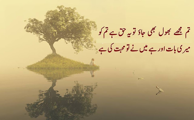 2 Line Urdu Poetry