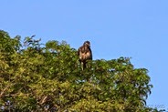 IMG_8479